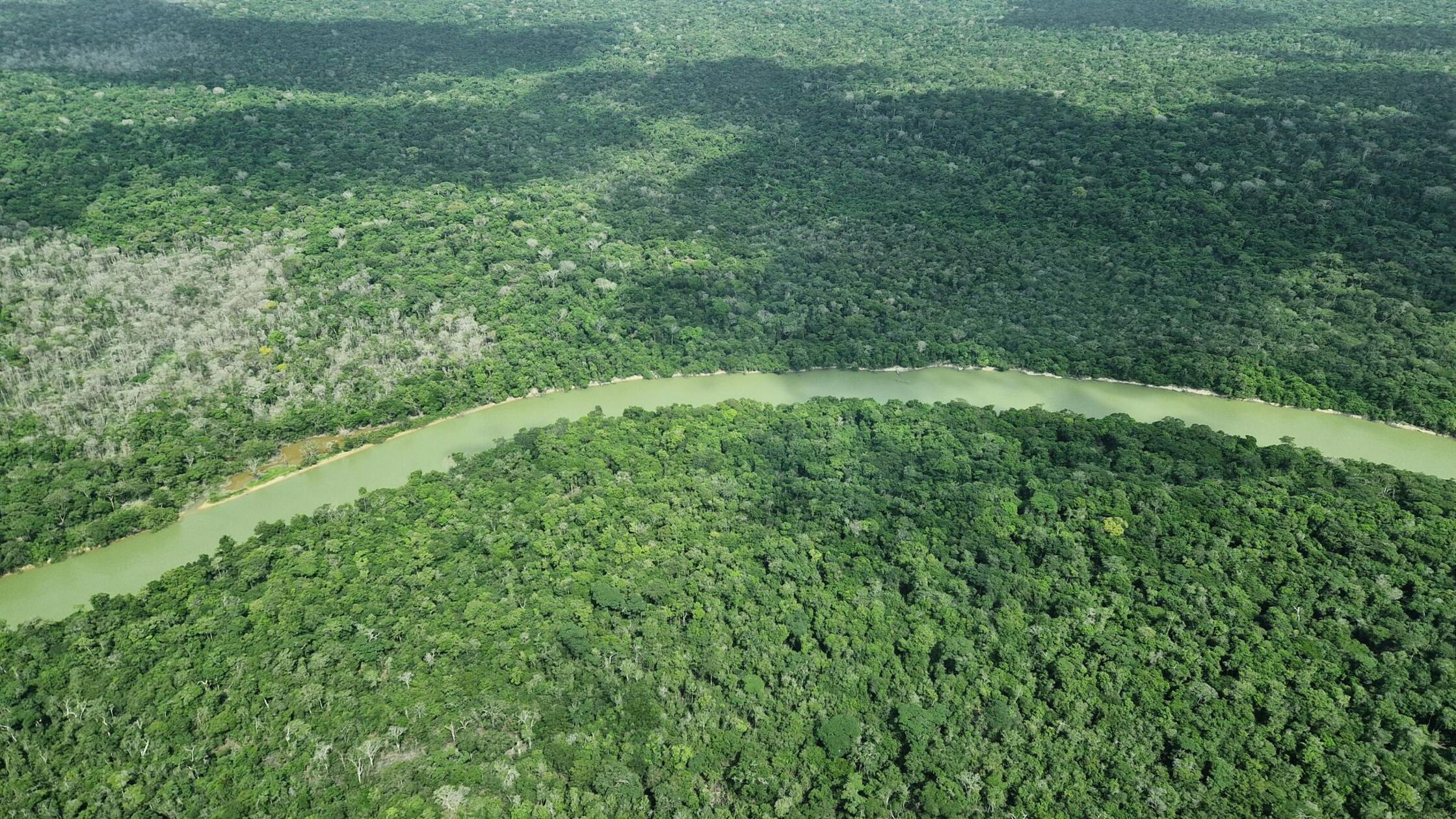 Brasilien: Deutschland gibt eine Milliarde für Tropenfonds