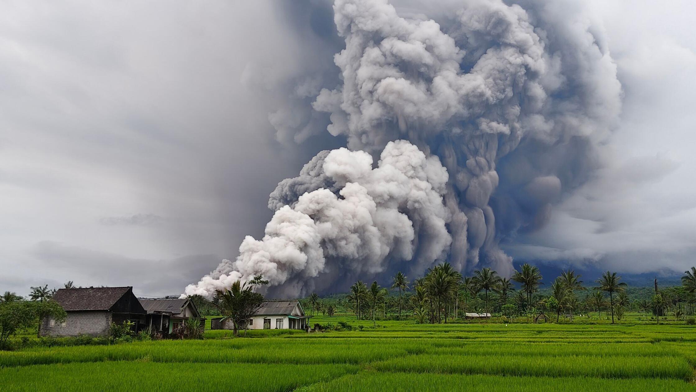 Vulkan Semeru ausgebrochen - Verletzte und schwere Schäden