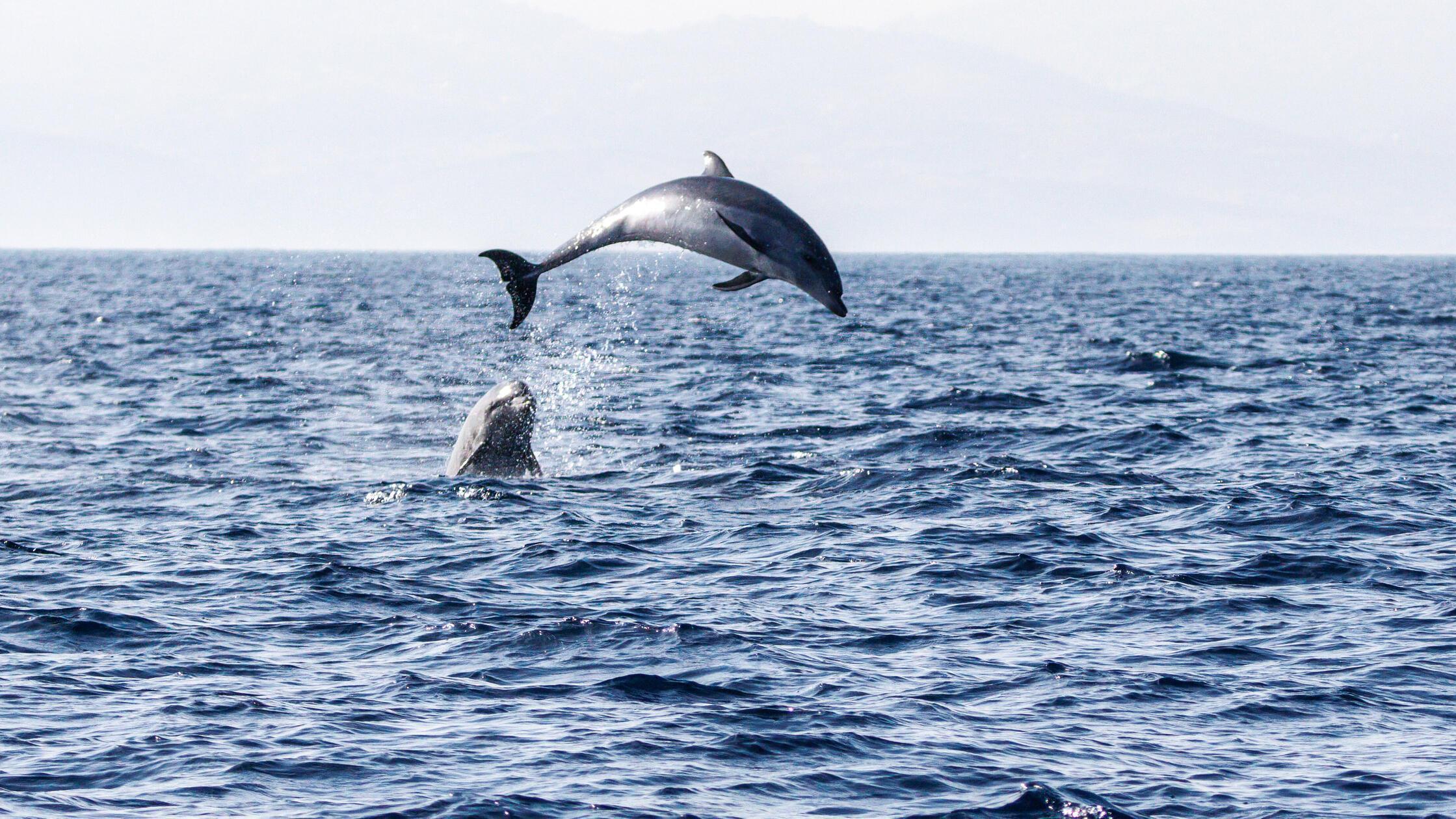 Grosser Tuemmler im Meer vor der Küste von Spanien