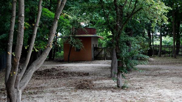 Gaertla_hip_160725_04