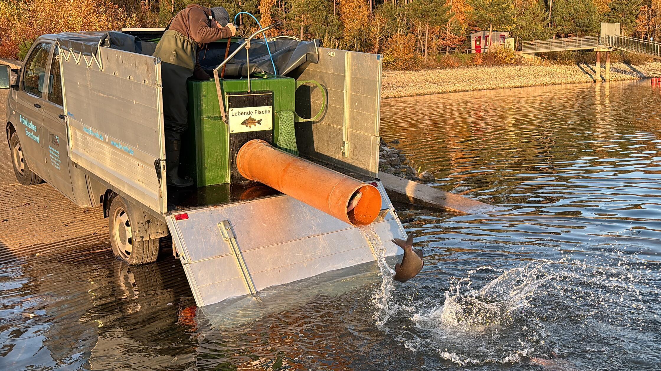 Sanierungsbefischung Altmühlsee Umzug 2025