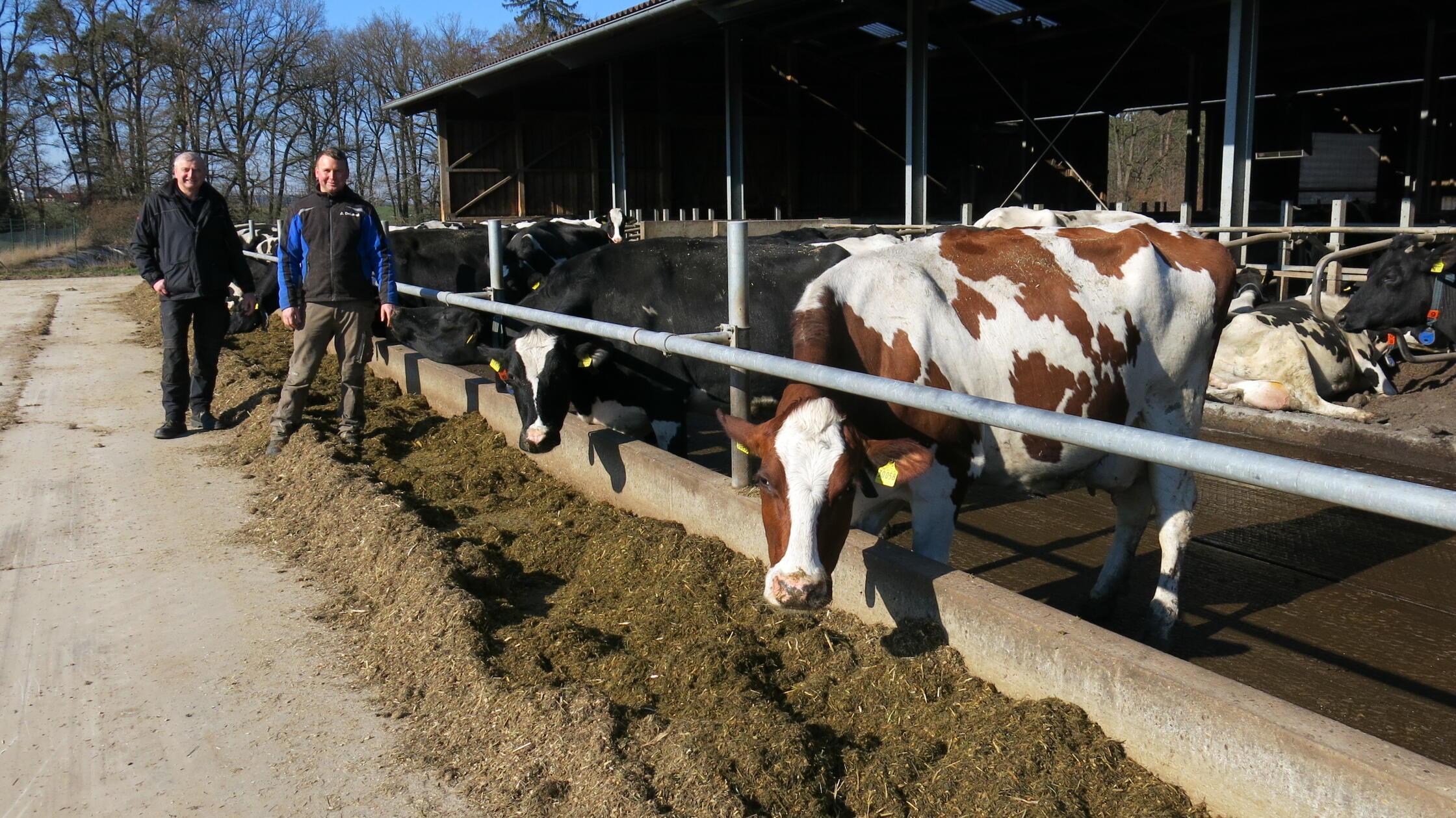 Fensel_Günter_Gerd_vli sj