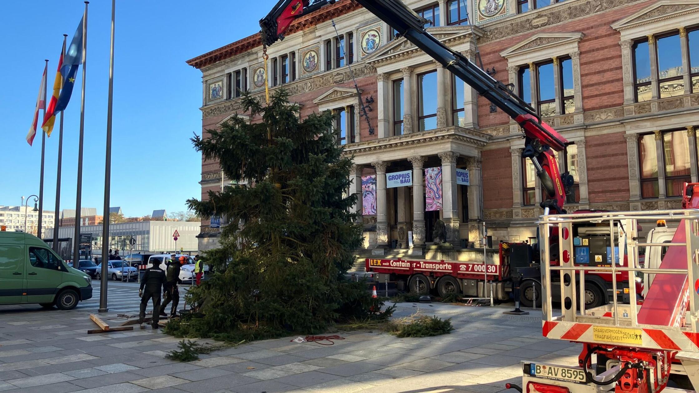 Weihnachtsbaum für Abgeordnetenhaus zerbricht - und nun?