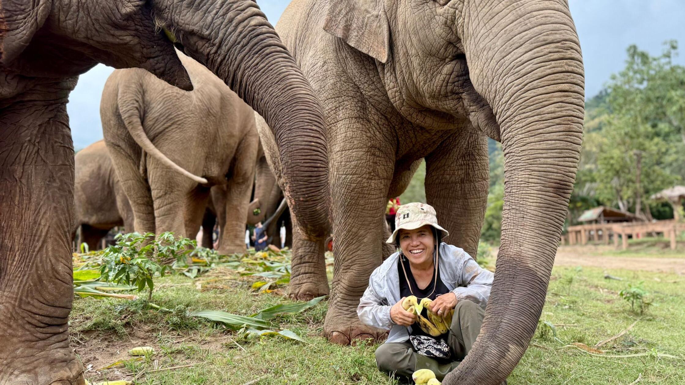Die Elefantenflüsterin von Chiang Mai