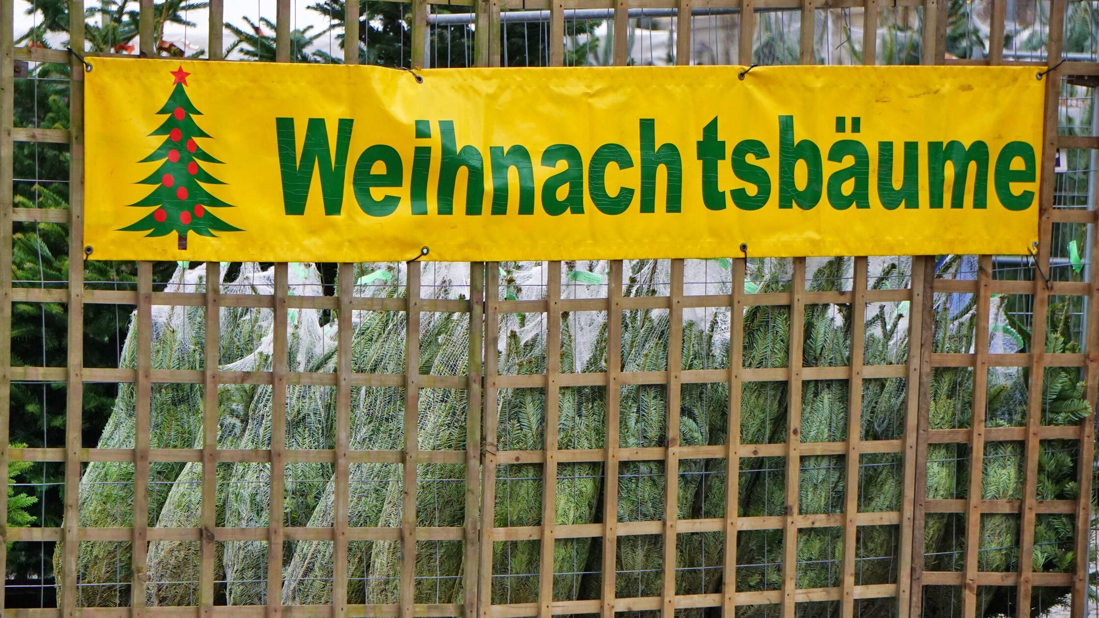 Weihnachtsbaumverkauf - Banner / Bäume im Netz ste