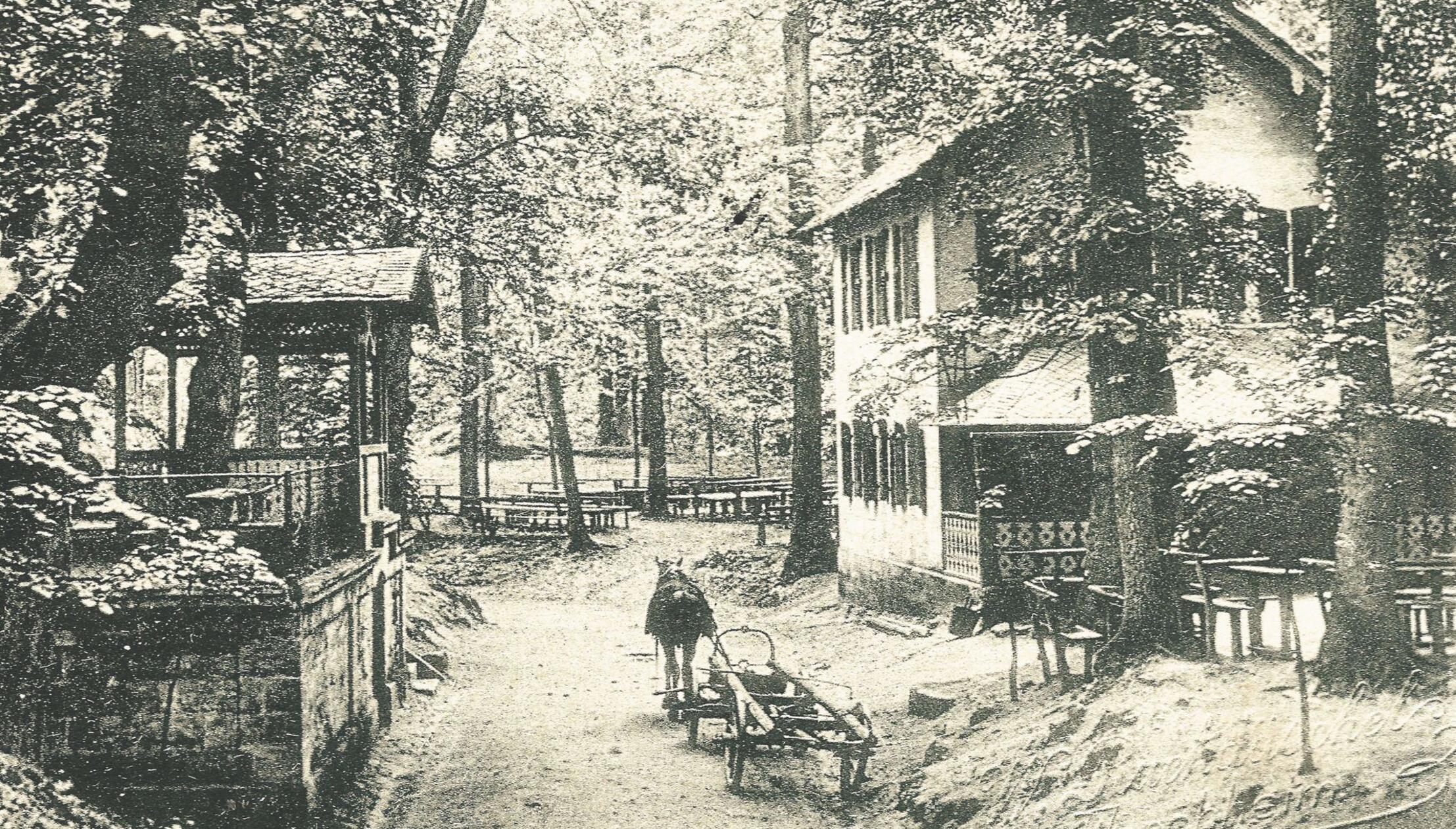 Der Weiß-Tauben-Keller um 1900 zeigt noch nicht di