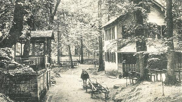 Der Weiß-Tauben-Keller um 1900 zeigt noch nicht di