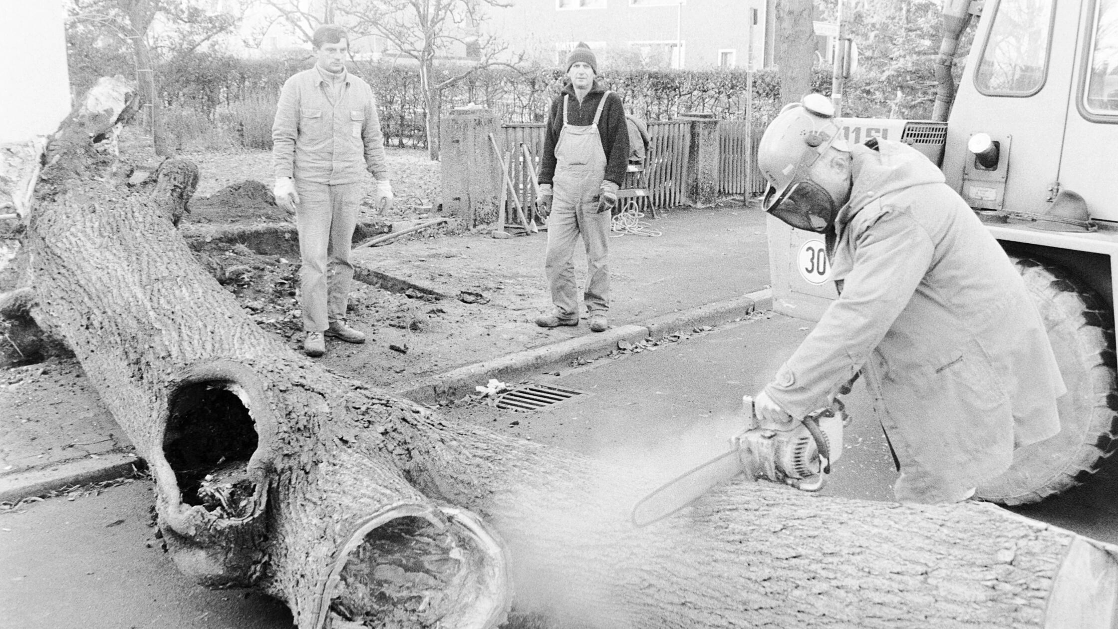 Vor30Jahren81412199501