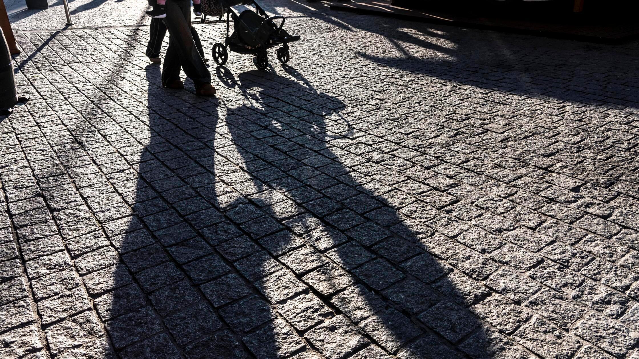 Moški poskušal ugrabiti otroka iz otroškega vozička, policijski pes ga je ugriznil