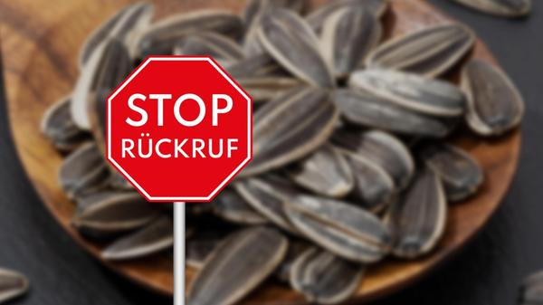 2025-11-25_10-23_collage