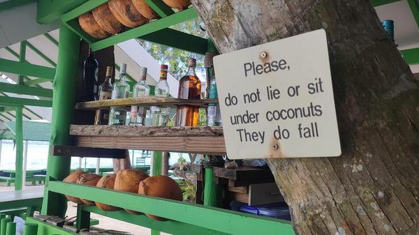 Erfrischung gefällig? Aber bitte nicht unter dem Baum...