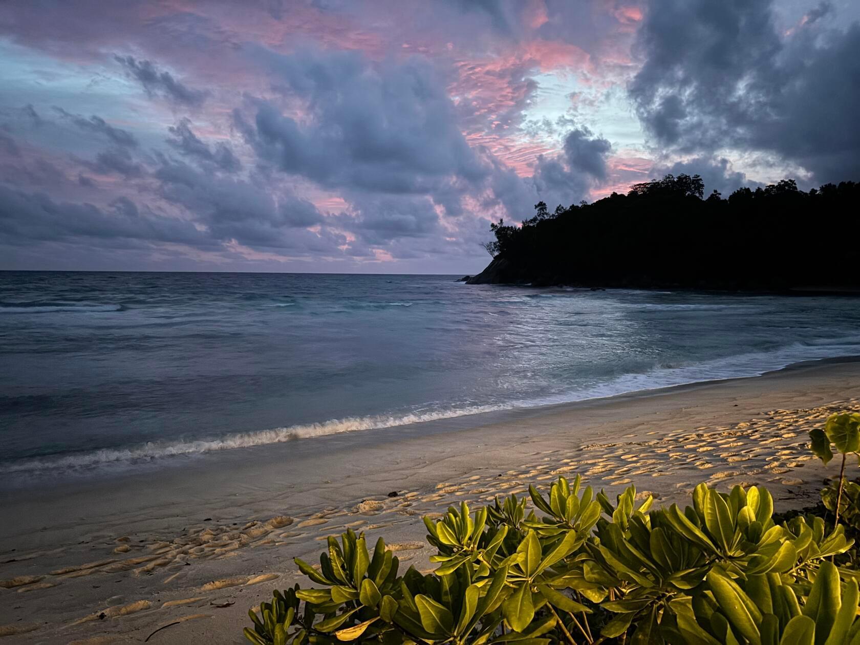 Abendstimmung am Strand des Avani+: Traumhaft gelegen bietet das frisch renovierte Hotel nicht nur kulinarischen Hochgenuss, sondern auch ein tolles Spa-Angebot und viele Ausflugsziele, die über die üblichen Sehenswürdigkeiten hinausgehen. Infos unter: www.avanihotels.com/de/seychelles-barbarons