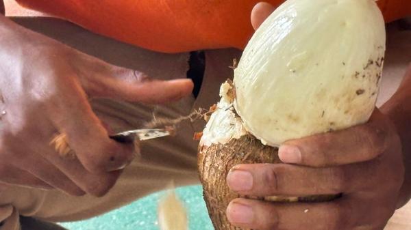 Zuerst werden die Knollen per Hand geschält. "Das kann keine Maschine", sagt Hendrick Herminie.