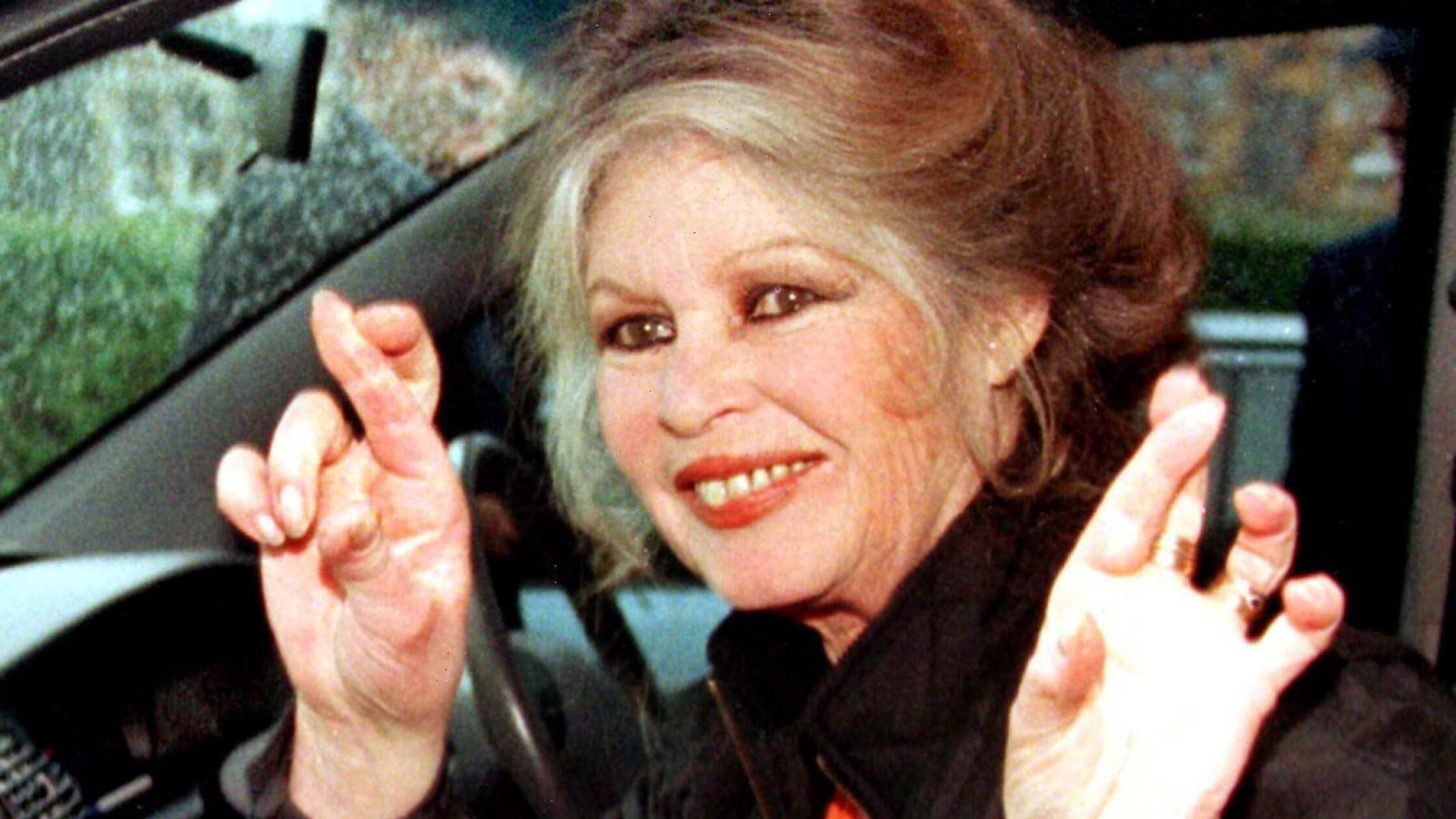 Brigitte Bardot erneut im Krankenhaus – Management beruhigt