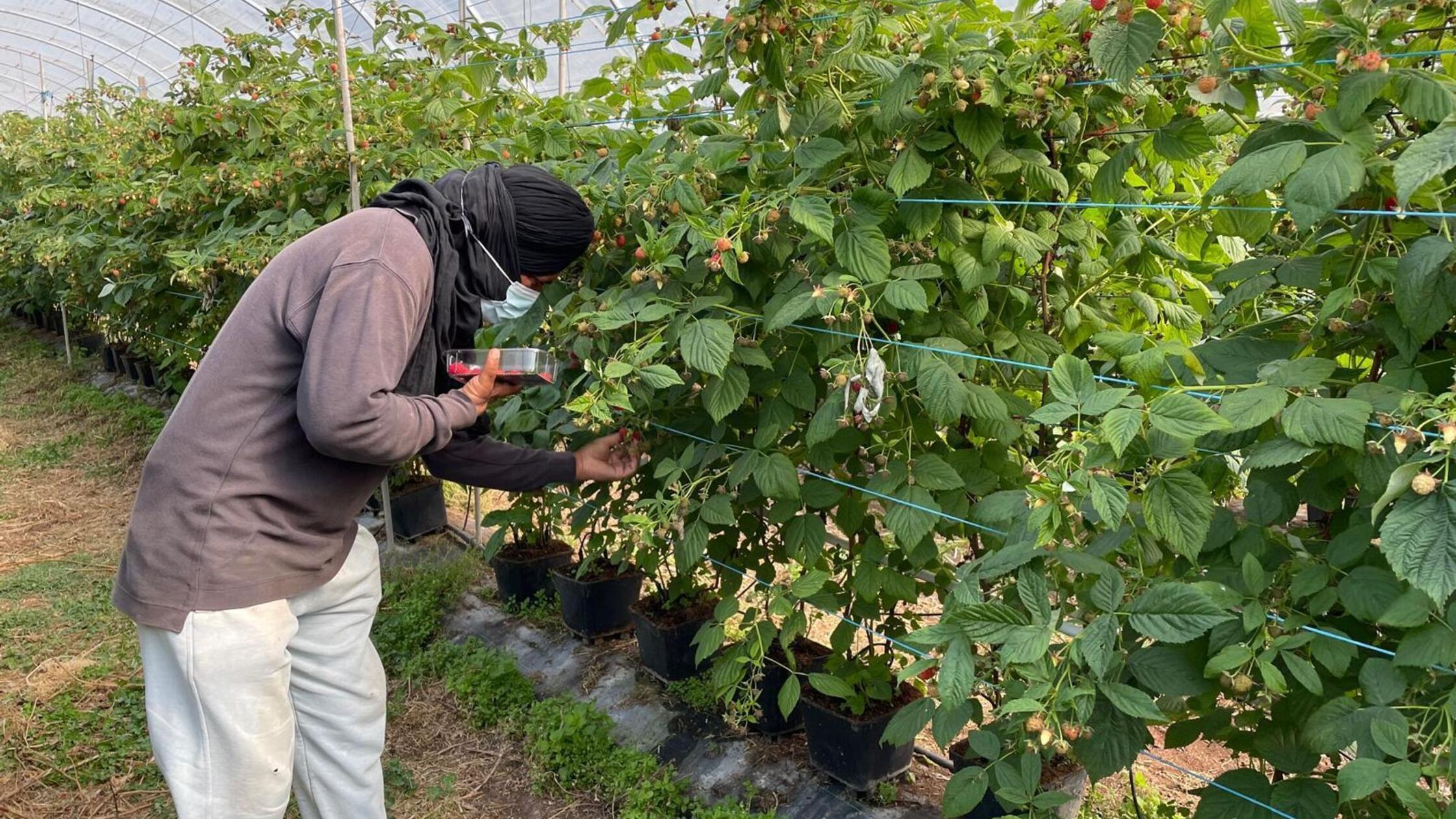 Na Portugalskem aretirali enajst policistov zaradi trgovine z ljudmi in izkoriščanja migrantov