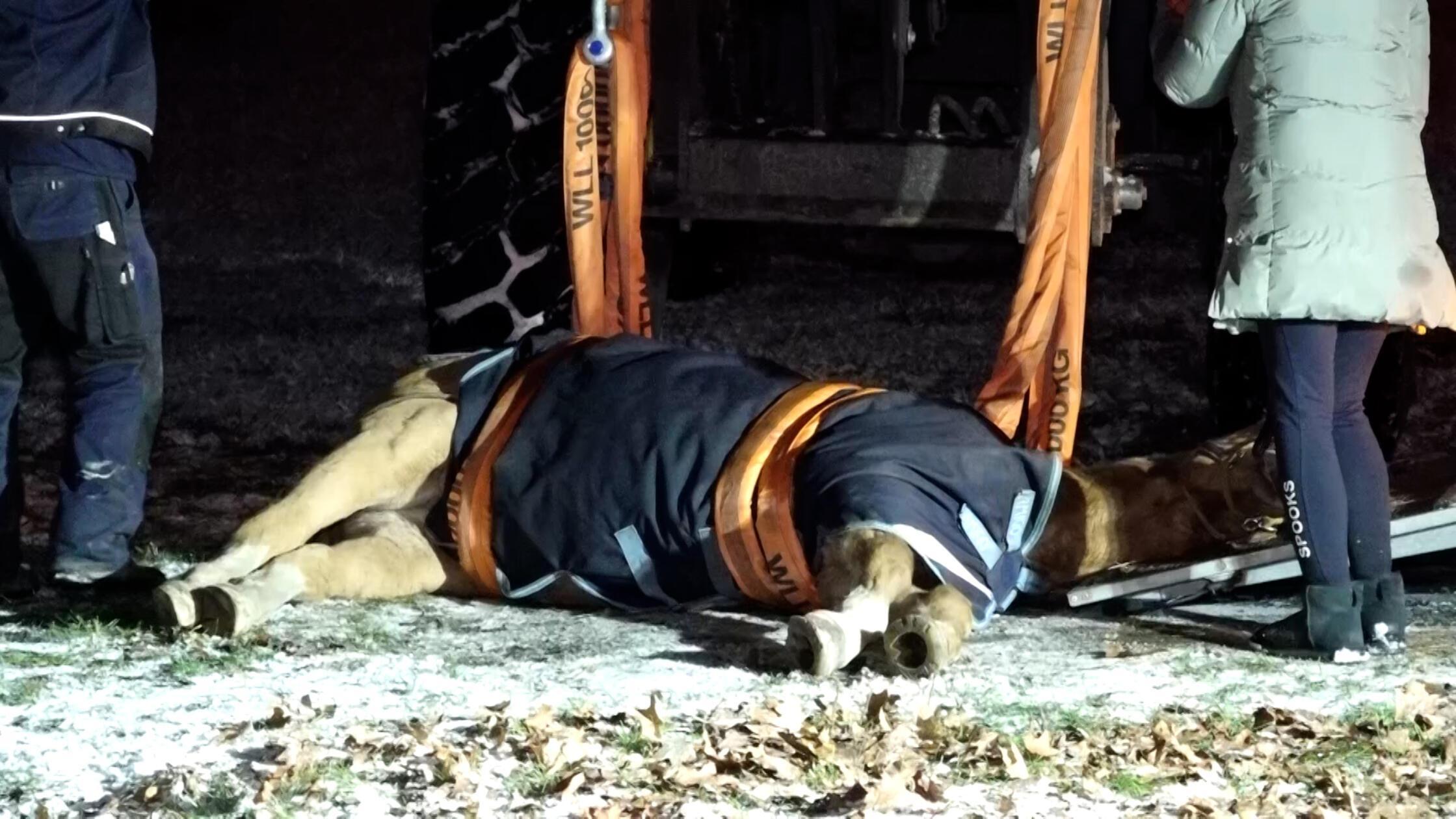 Privatpersonen bitte Pixeln Ein Einsatz, der selbs