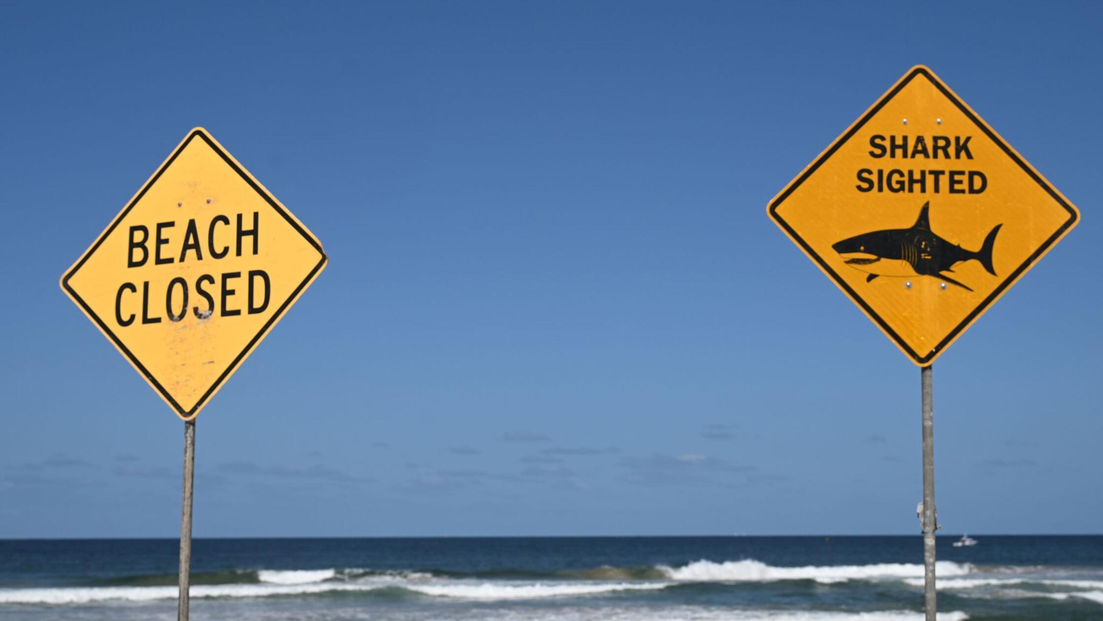 Tödlicher Haiangriff in Australien: Frau stirbt noch am Strand - Passant rettet Mann das Leben