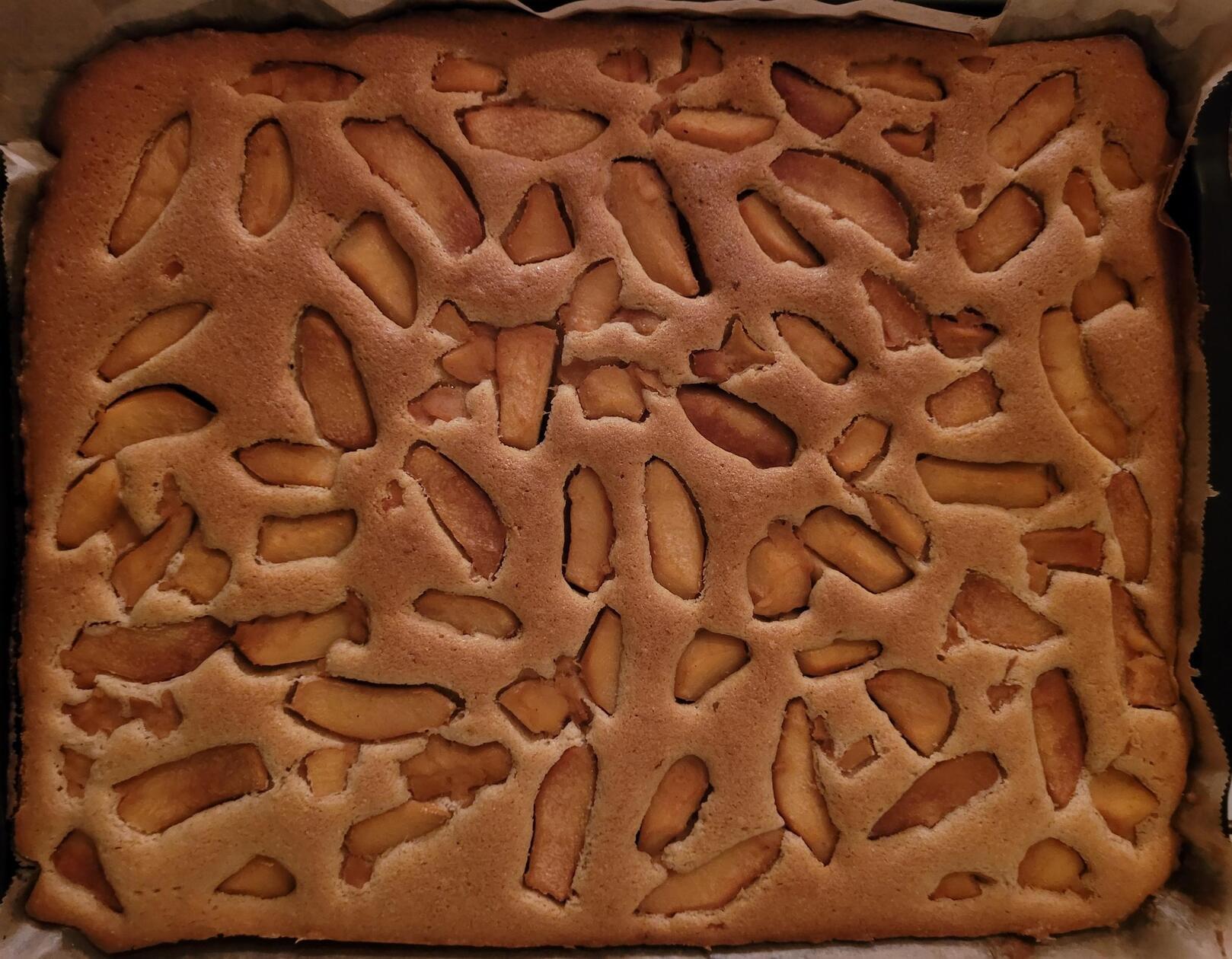 shared image (22)_quer