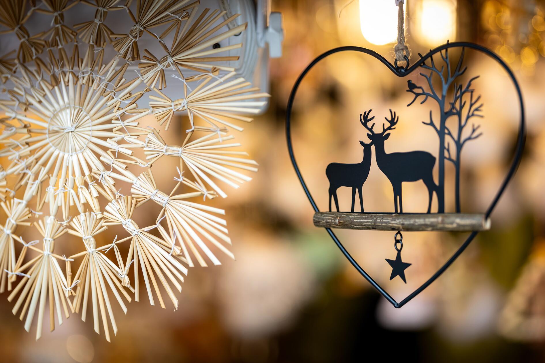 Sterne gibt es heute auch auf der Erde.