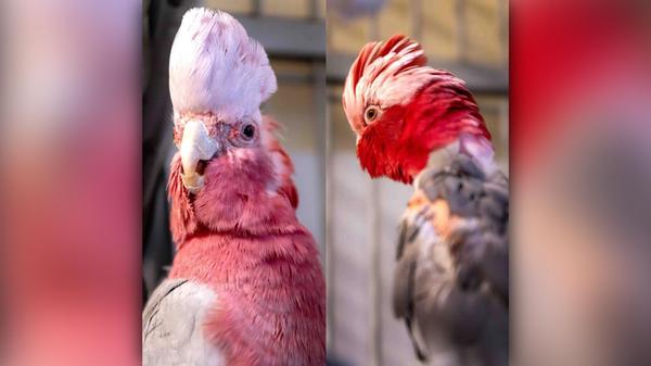 2025-11-29_10-59_bild_erweitern