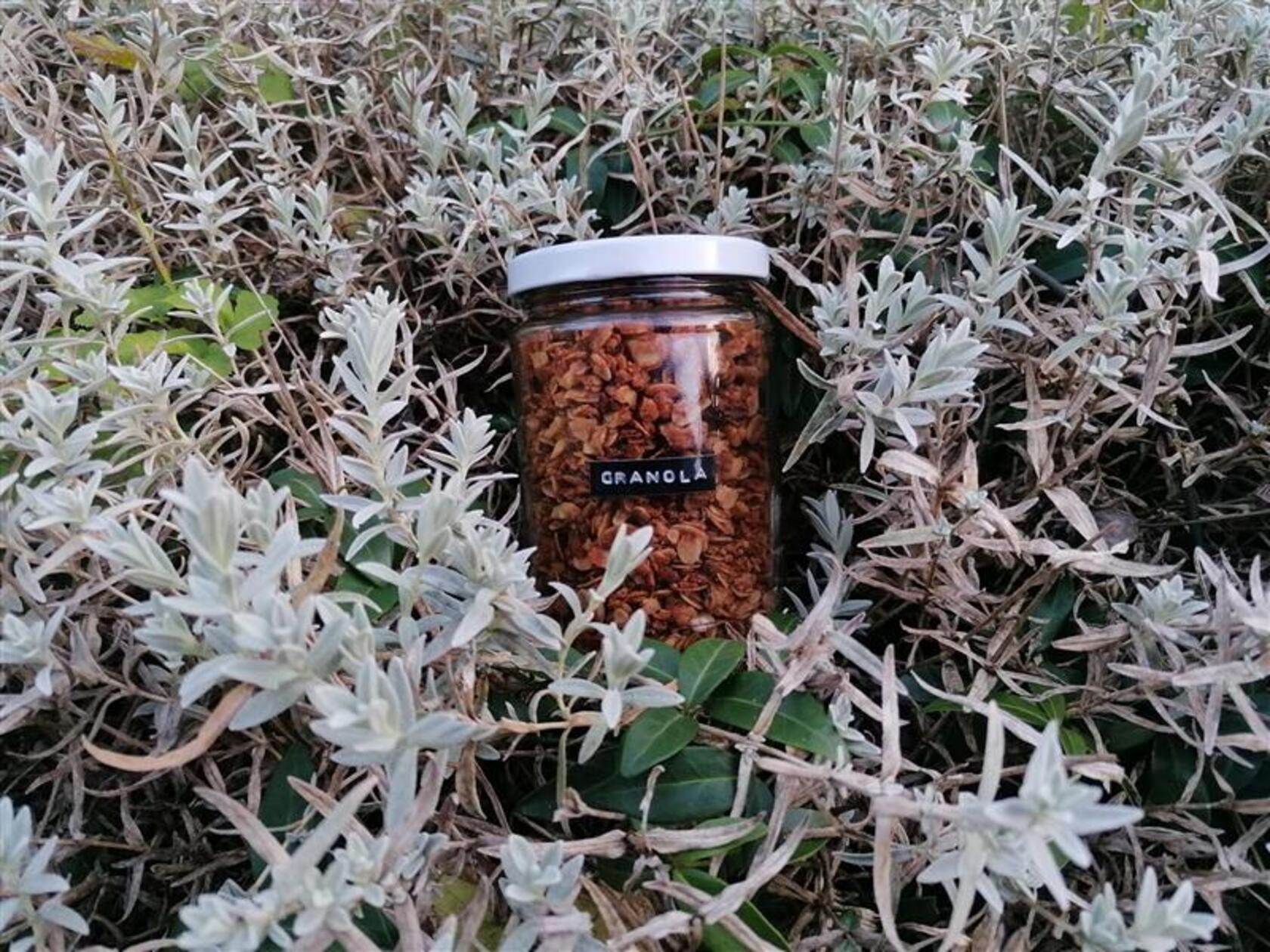 Schnell gemacht und eine tolle Ergänzung für das tägliche Frühstück: Unser Rezept für ein leckeres Granola, sowie viele weitere Rezept-Ideen für DIY Geschenke gibt es beim Klick auf das Foto.