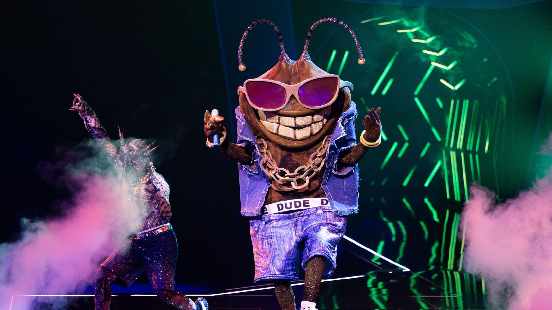 US-Musiker bei „The Masked Singer“ ausgeschieden