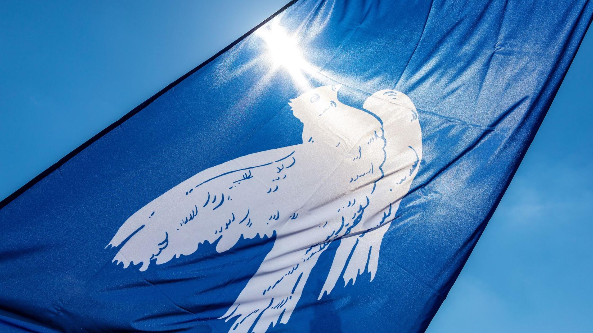 Friedenspläne für die Ukraine – ein Überblick