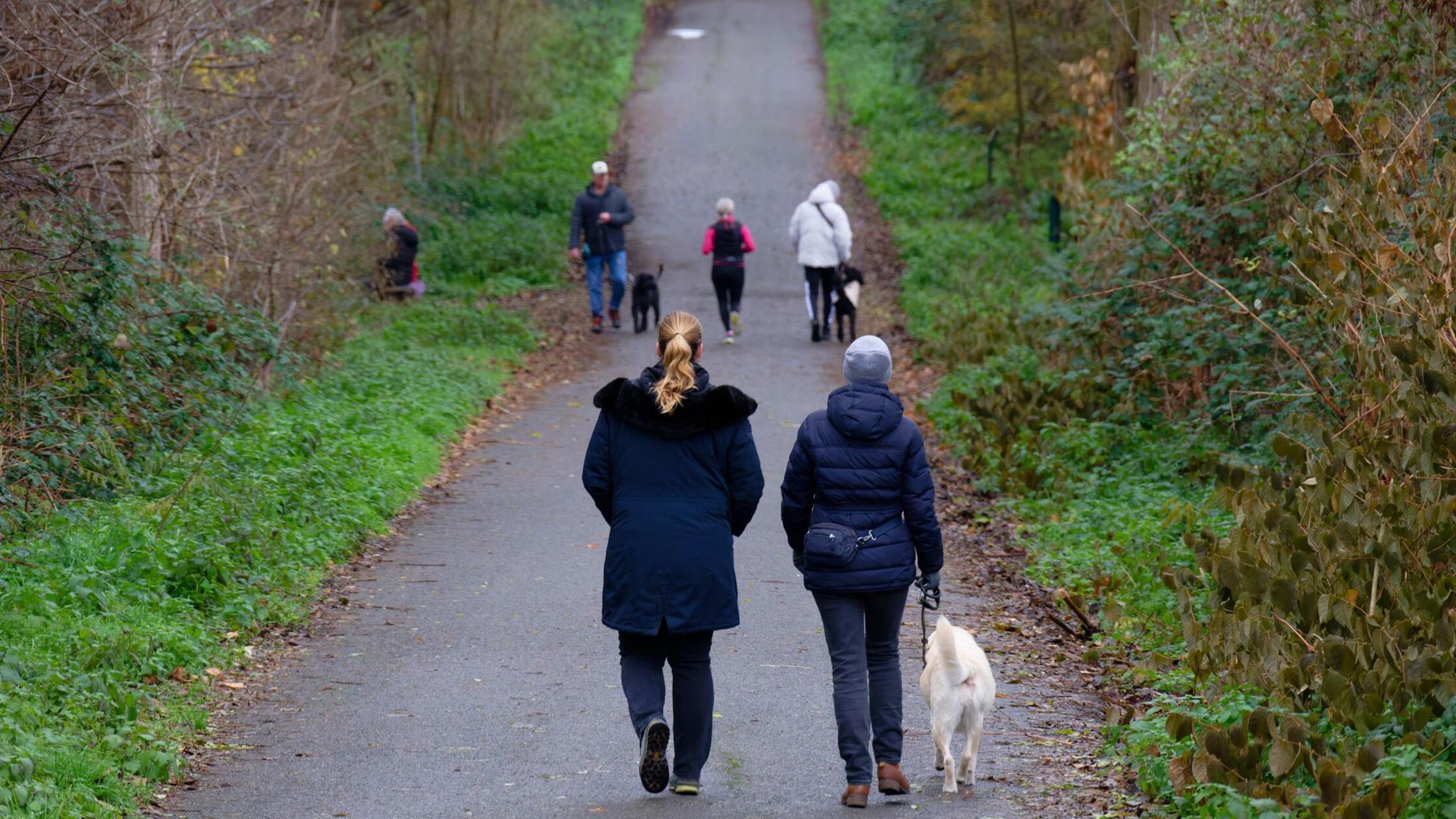 Mildes Wetter zum meteorologischen Winteranfang
