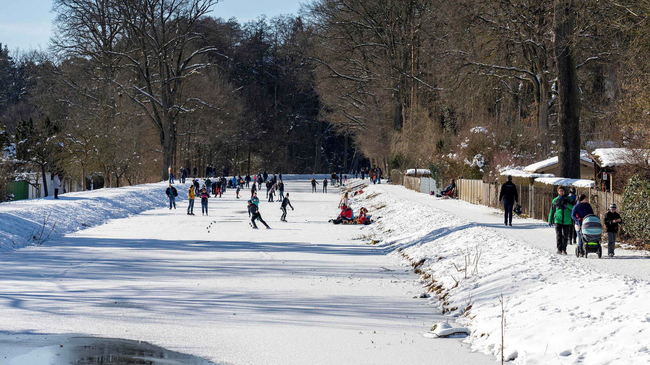 Broken through the ice? Seven dead wild boars found in the Ludwig Canal ...
