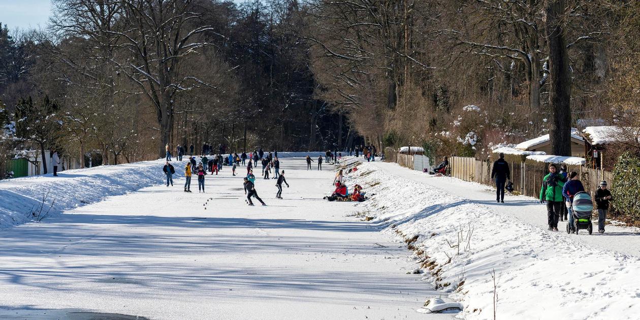 Broken through the ice? Seven dead wild boars found in the Ludwig Canal ...