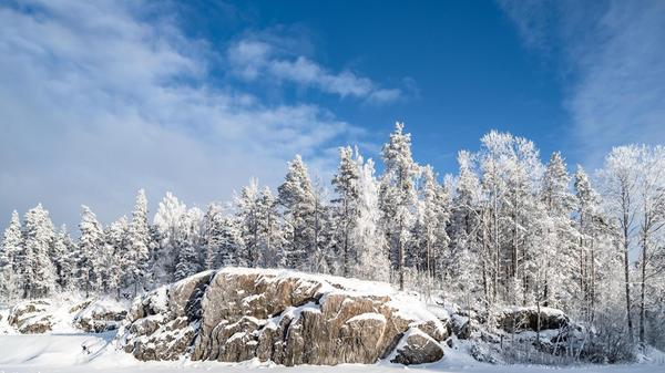 Der Januar ist der kälteste Monat des Jahres. Anders sieht es bei den Neuerscheinungen aus, denn nicht nur Spicy Dark Romance heizt uns ordentlich ein, auch nervenzerreißende Thriller treiben uns Schweißperlen auf die Stirn.