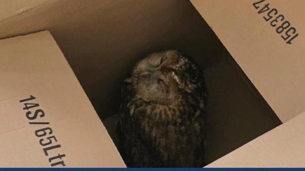 Screenshot 2025-12-02 184522