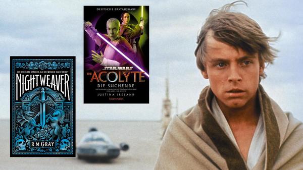 2025-12-03_12-14_collage