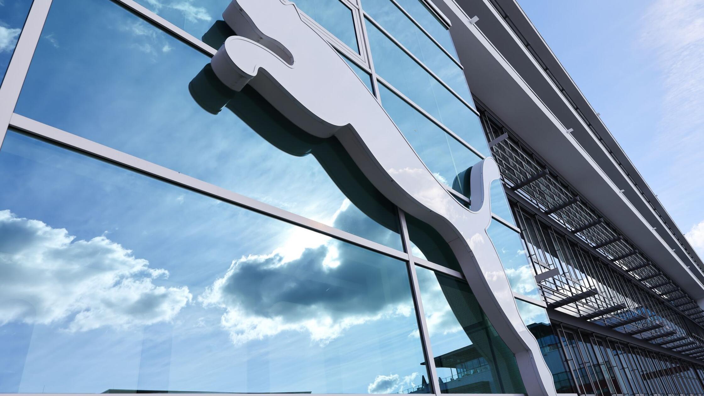 Wolken spiegeln sich im Fenster hinter einem Puma-