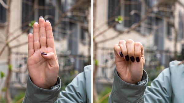 2025-12-03_21-36_collage