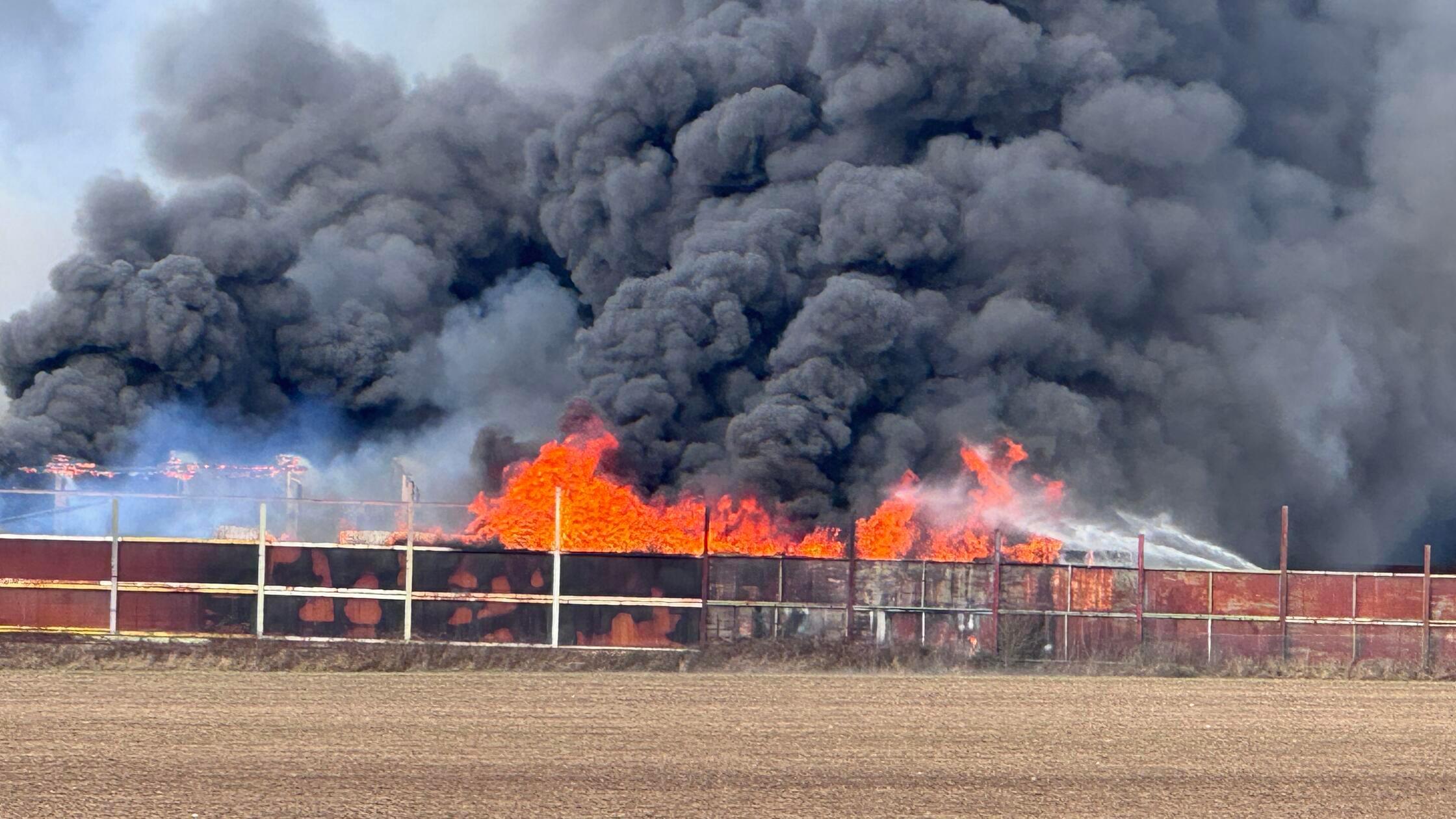 Feuer in Lagerhalle ausgebrochen: GroÃŸaufgebot de