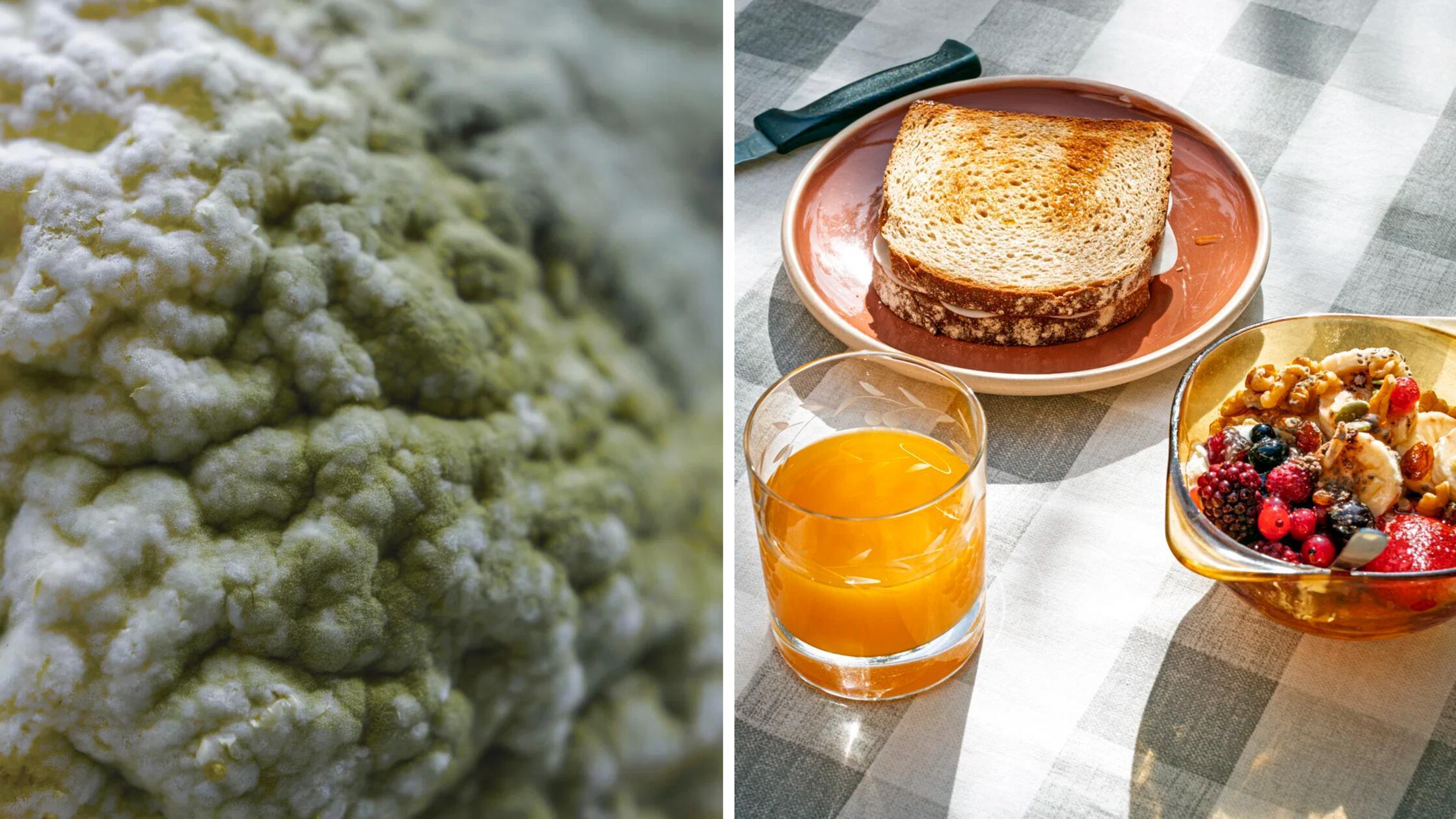 2025-12-03_15-12_collage