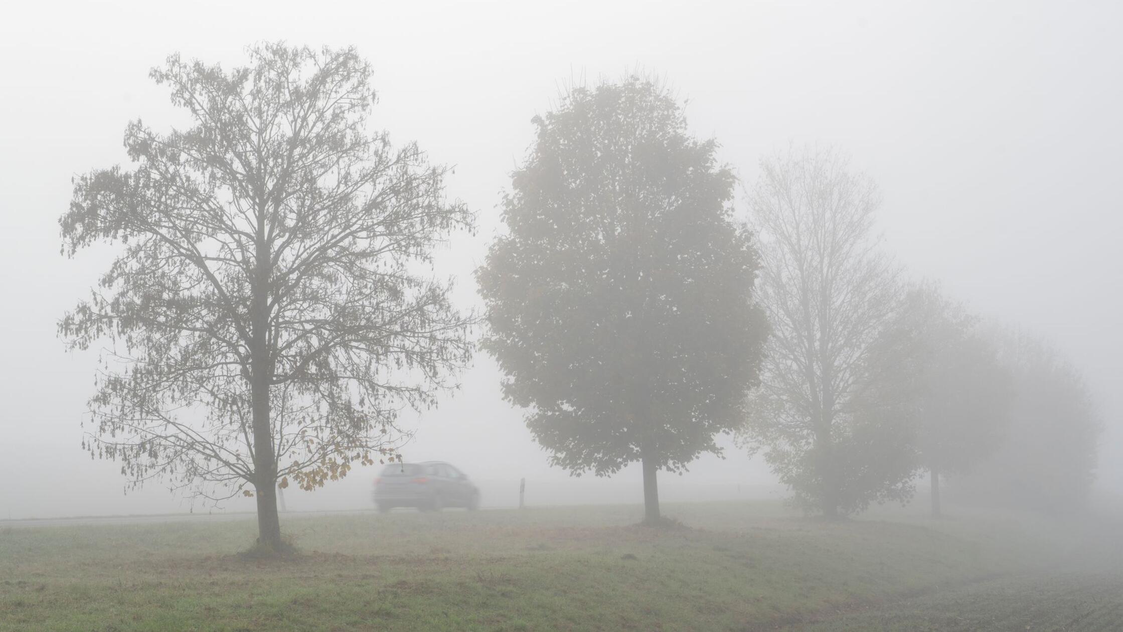 Vremenska napoved: Zima se umika jesenskemu vremenu