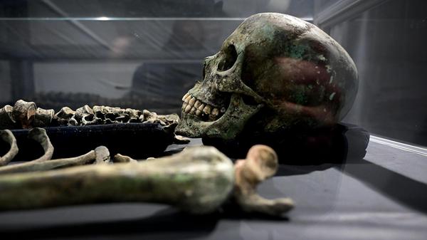 pestfriedhof_hjw_021225_017