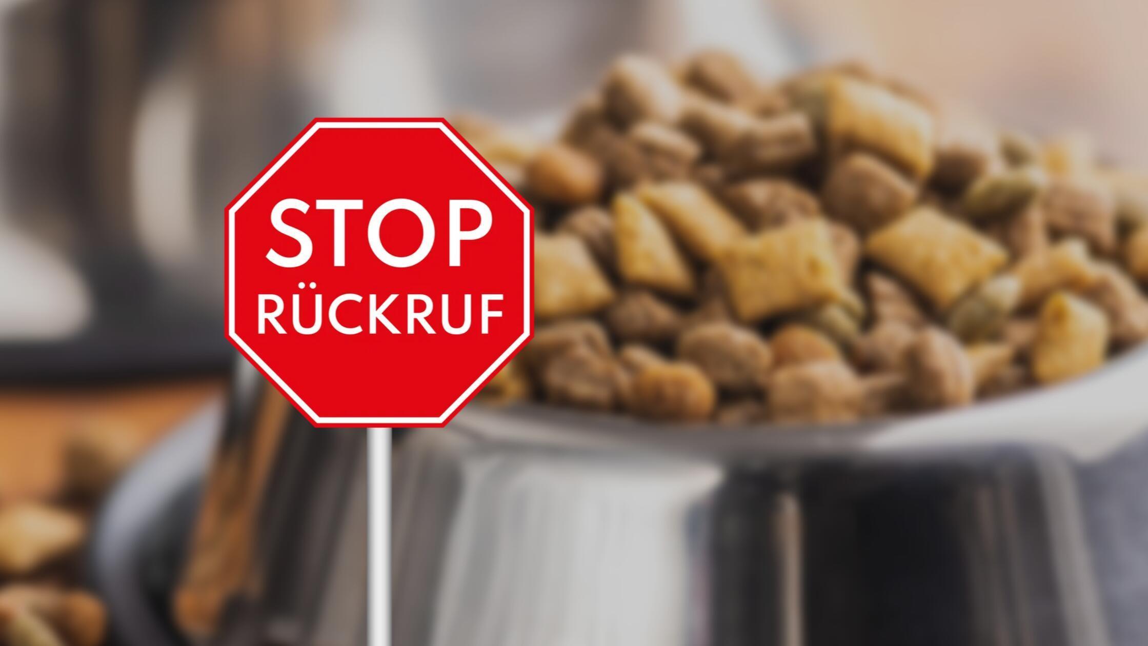 2025-12-04_15-09_collage