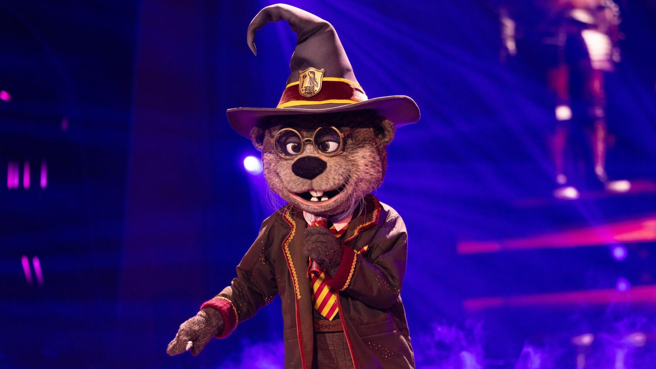 Igralec razkrit kot Harry Otter v oddaji »The Masked Singer«