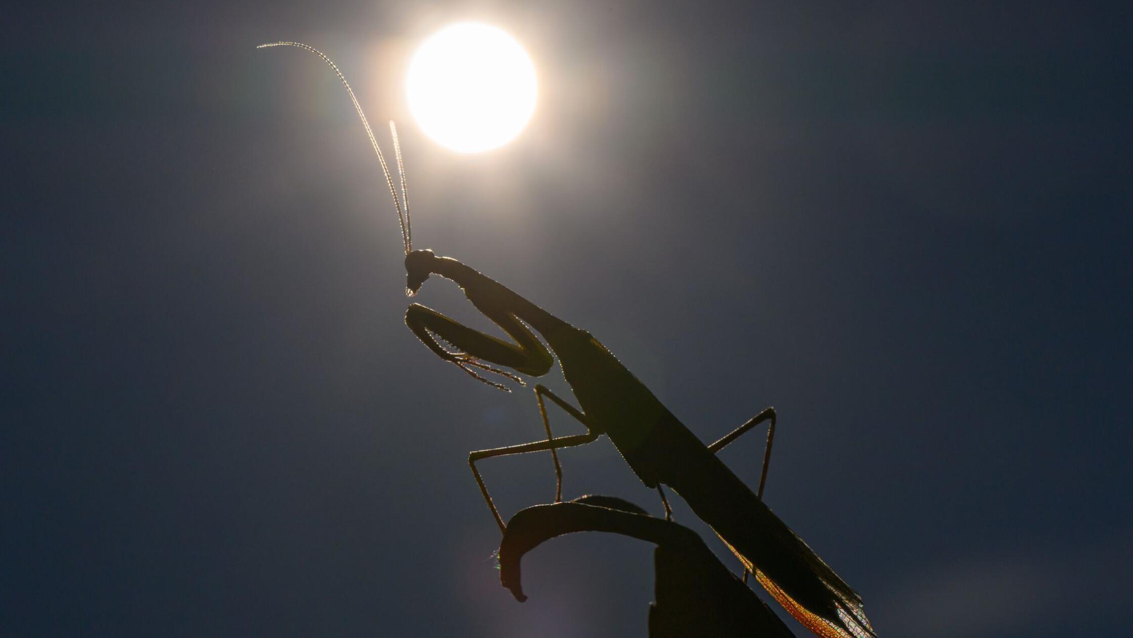 2025 dürfte eines der drei heißesten Jahre werden