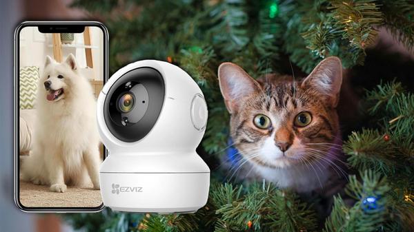 Sicherheit Ueberwachungskamera Amazon