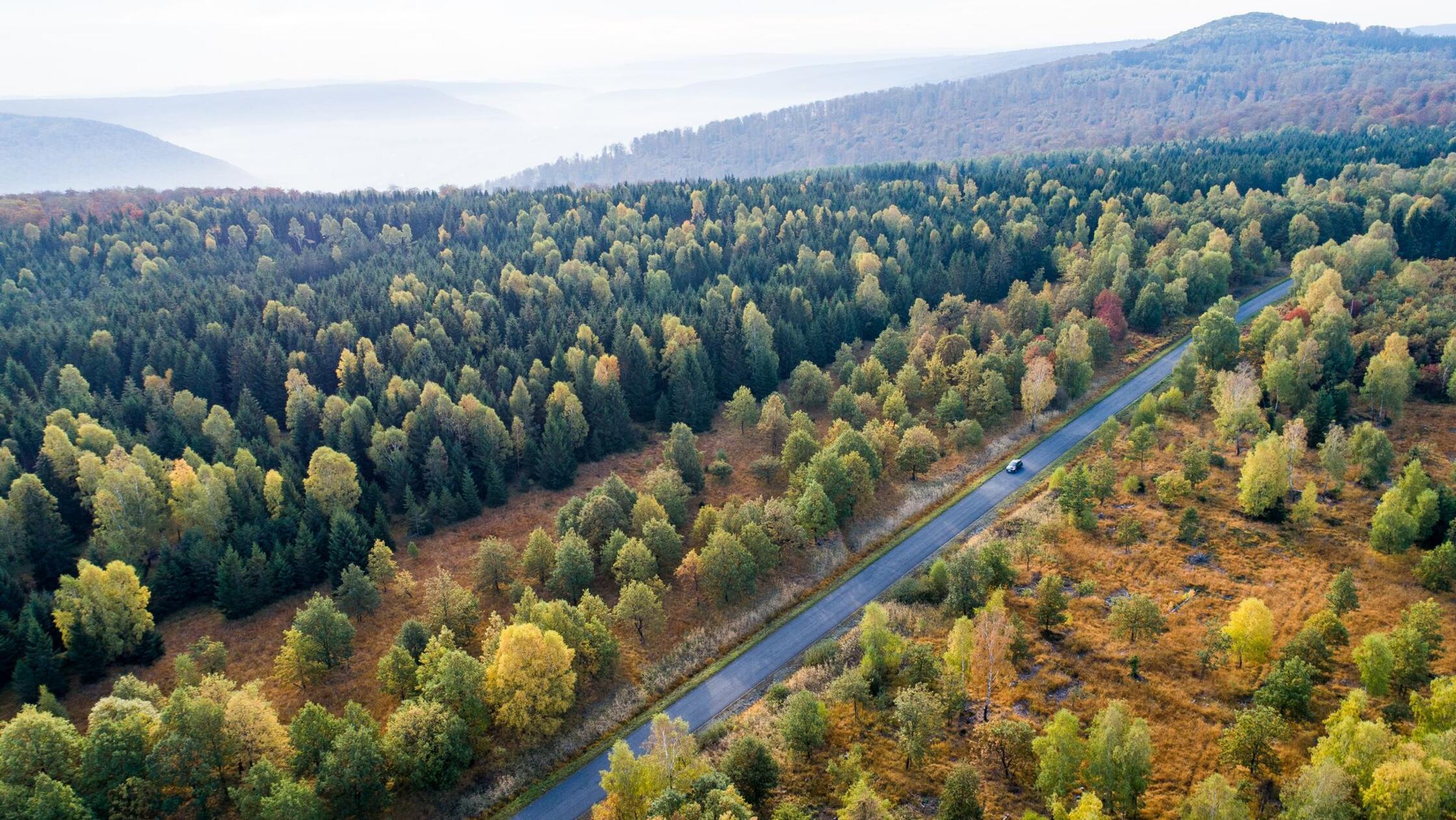 Forschungsbericht: Ohne CO2-Entnahme keine Klimaneutralität