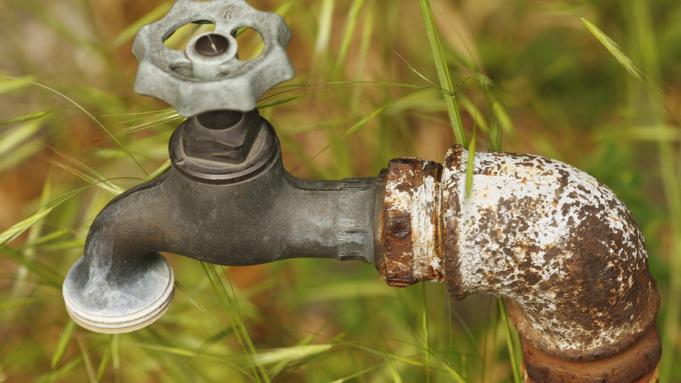 Bildnummer: 55374509  Datum: 20.05.2011  Copyright