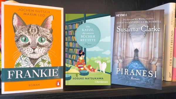 2025-12-10_13-58_collage