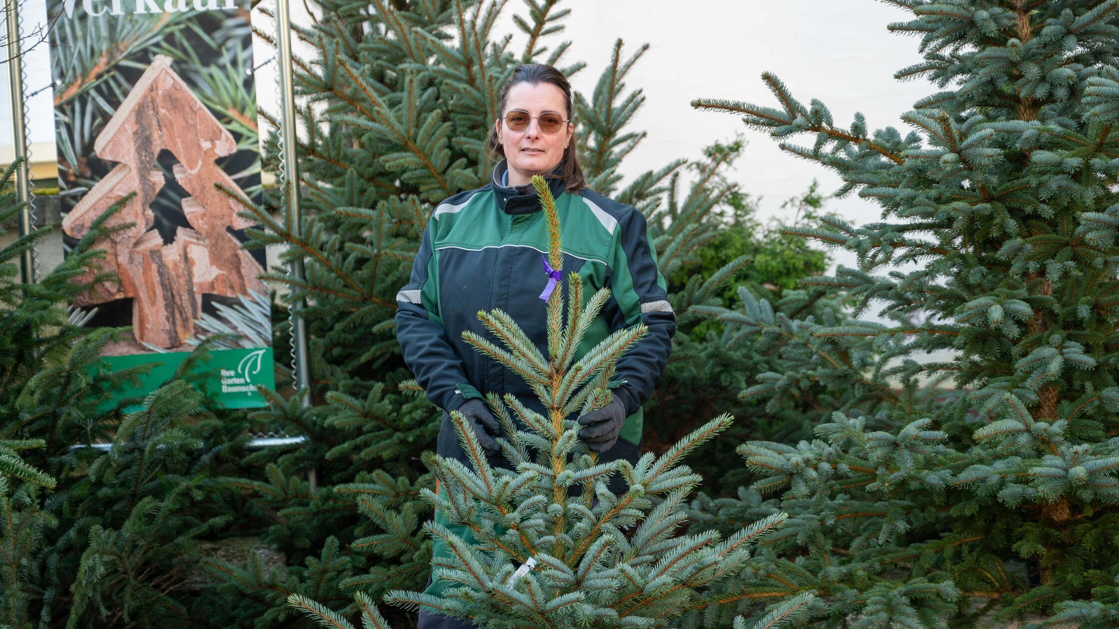 Den-perfekten-Christbaum-finden-Baumschule-Geiger-in-Hersbruck-gibt-Tipps-mit-Video