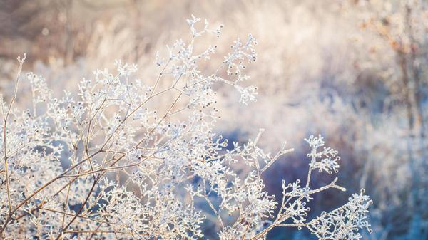 Der Februar markiert nicht nur die Schwelle vom Winter zum Frühling, sondern bringt auch einige neue Bücher in die Regale der Buchhandlungen.