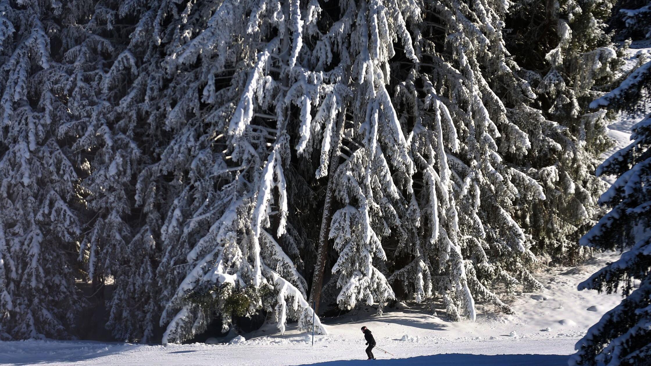 Weiße Weihnachten – nur ein Mythos und bald eh Geschichte?