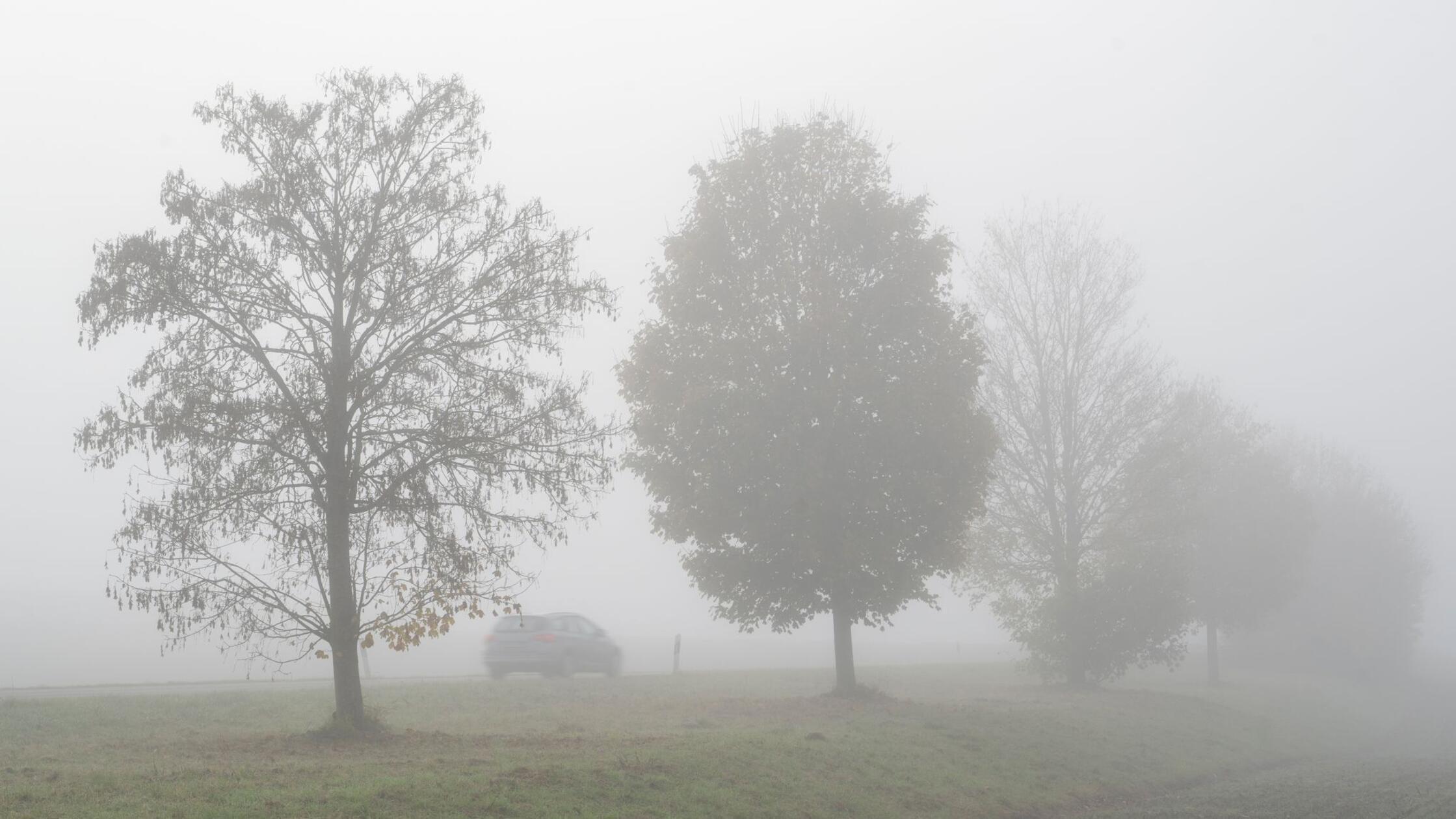 Auf tristes trübes Wetter folgt etwas mehr Sonnenschein